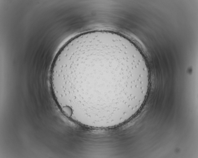 X0000116821182201001291616