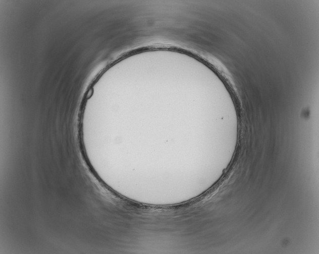 X0000116821183201001291616