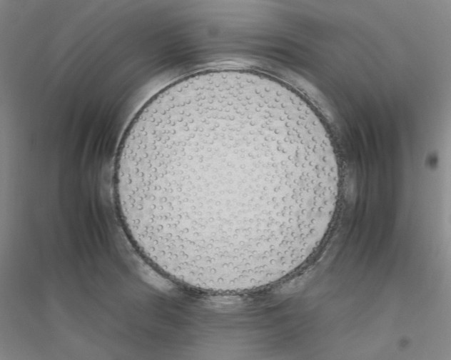 X0000116821186201001291616