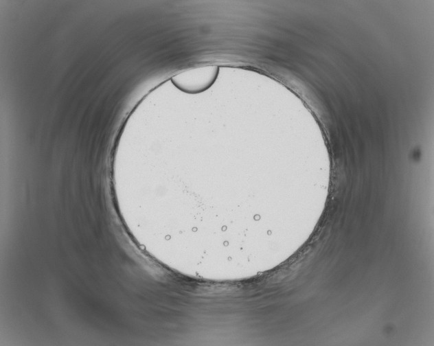 X0000116821187201001291616