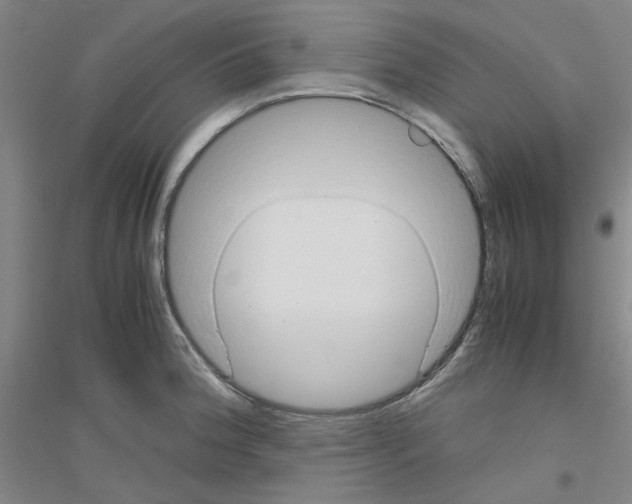 X0000116821188201001291616