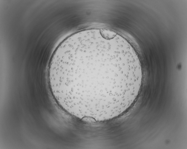 X0000116821190201001291616