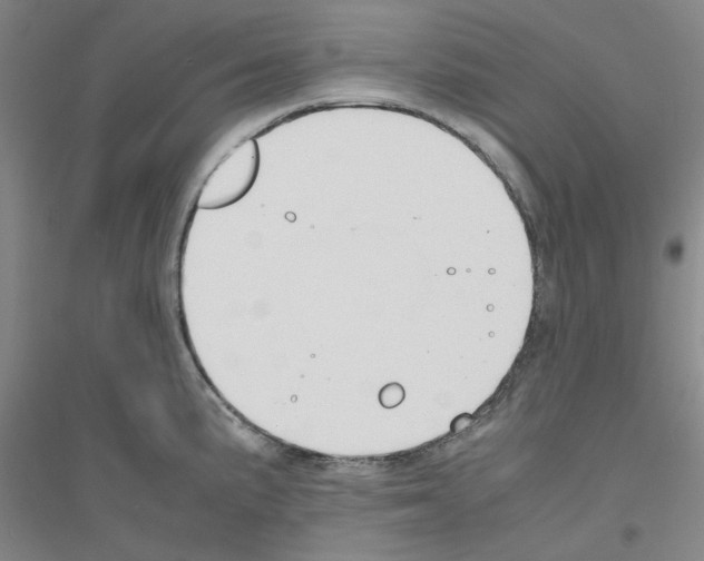 X0000116821191201001291616