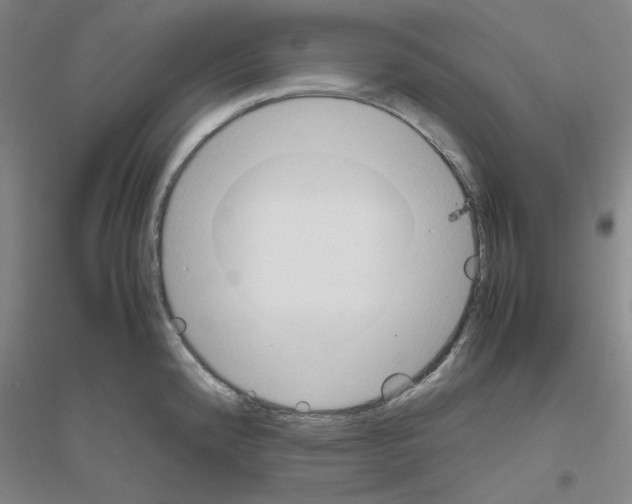 X0000116821192201001291616