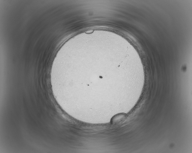 X0000116821193201001291616