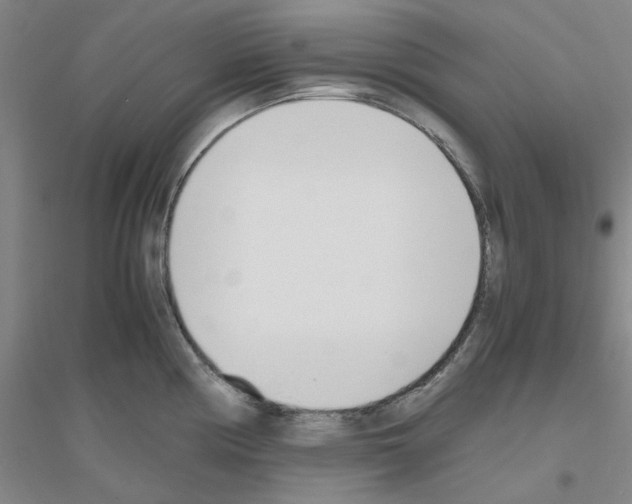 X0000116821194201001291616