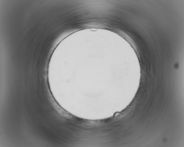 X0000116821195201001291615