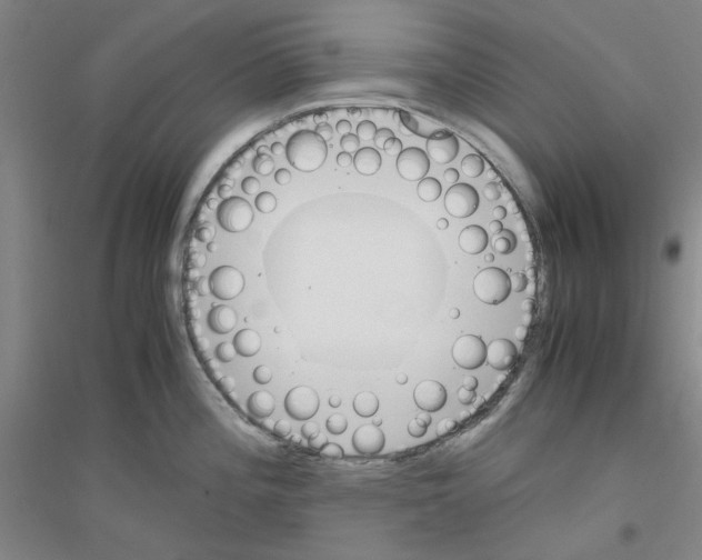 X0000116821196201001291615