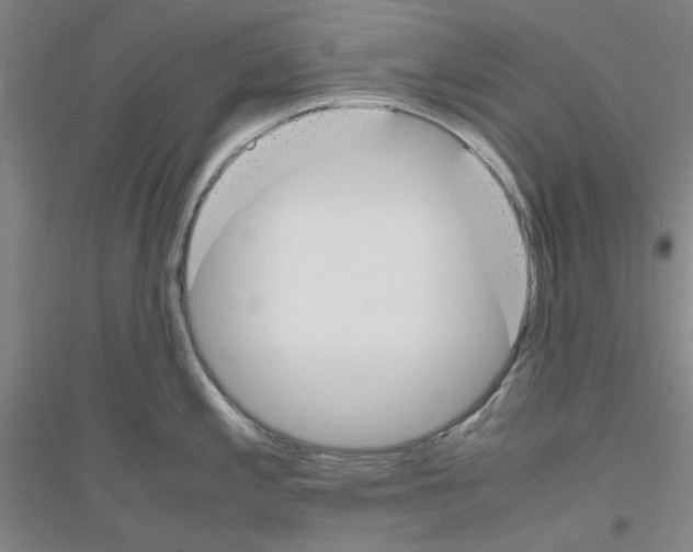 X0000116821197201001291615