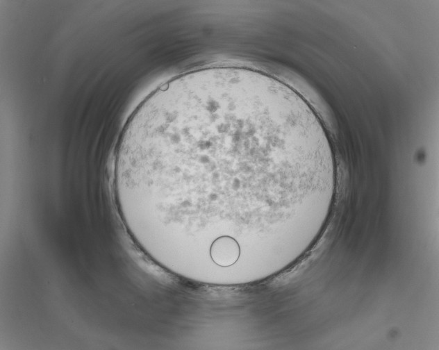 X0000116821198201001291615