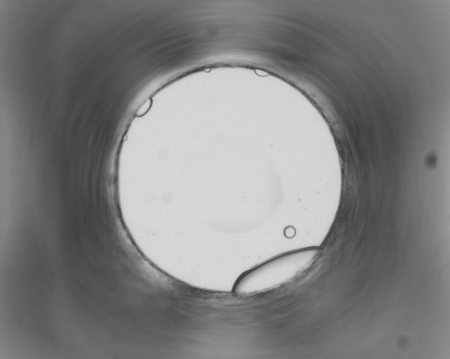 X0000116821199201001291615