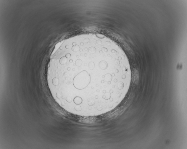 X0000116821201201001291615