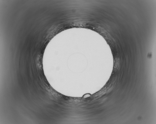 X0000116821202201001291615