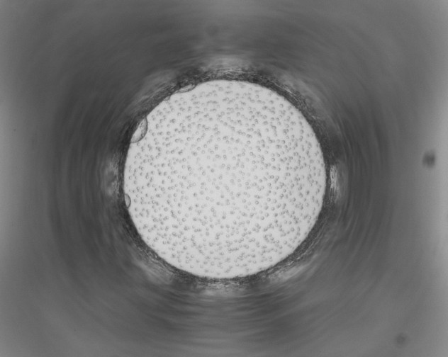 X0000116821203201001291615