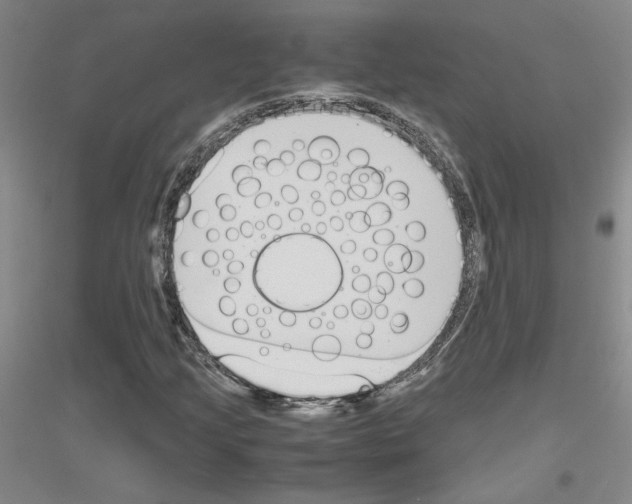 X0000116821205201001291615