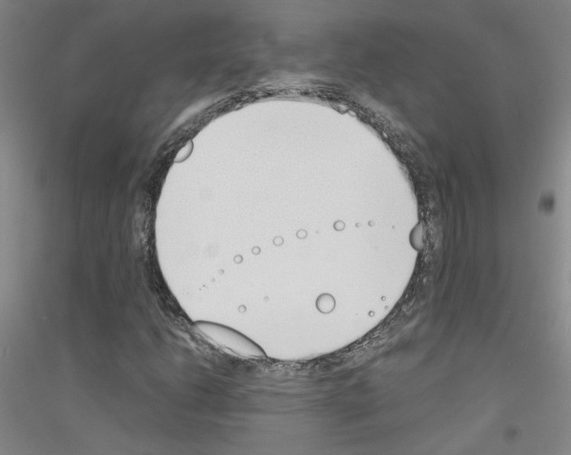 X0000116821206201001291615