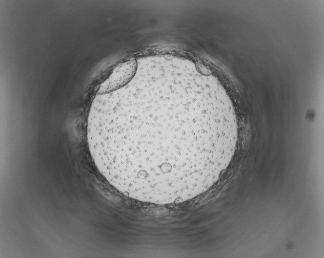 X0000116821207201001291615