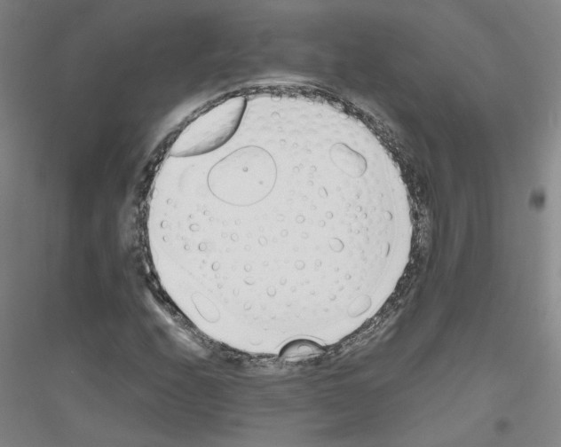 X0000116821208201001291615