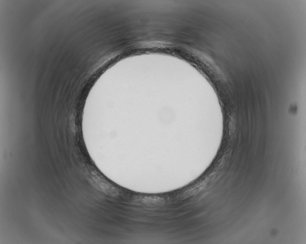 X0000116821209201001291615