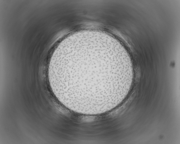 X0000116821211201001291615