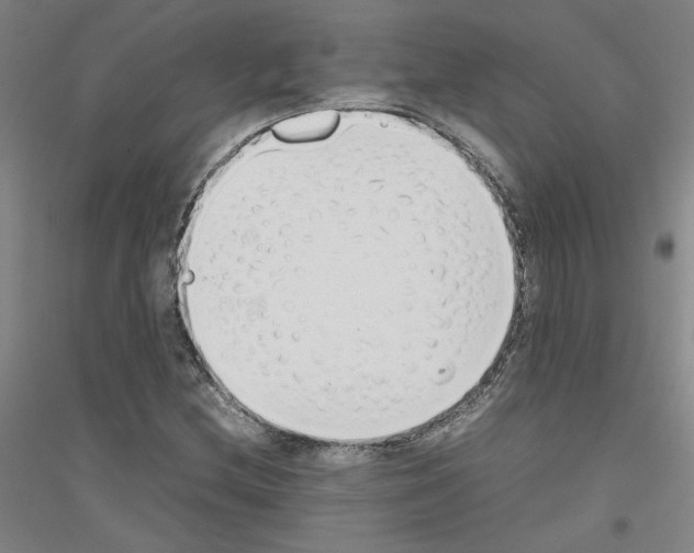 X0000116821212201001291615