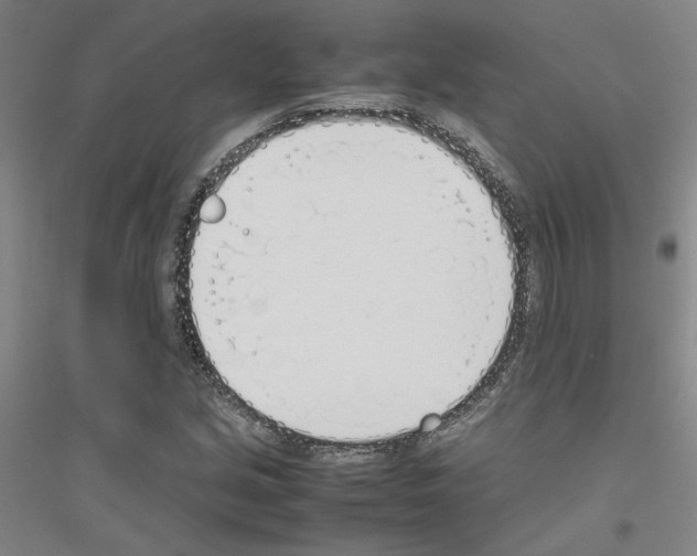 X0000116821213201001291615