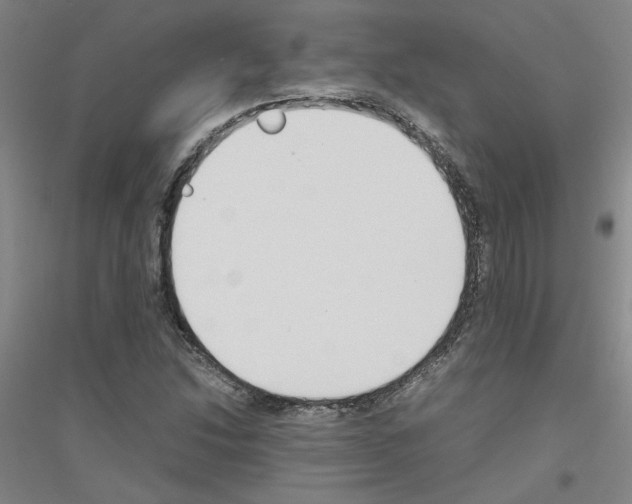 X0000116821214201001291615