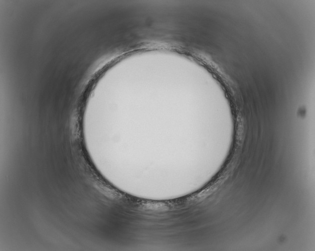 X0000116821215201001291615