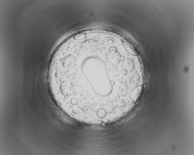 X0000116821216201001291615