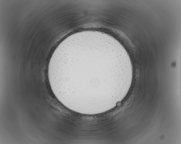 X0000116821217201001291615