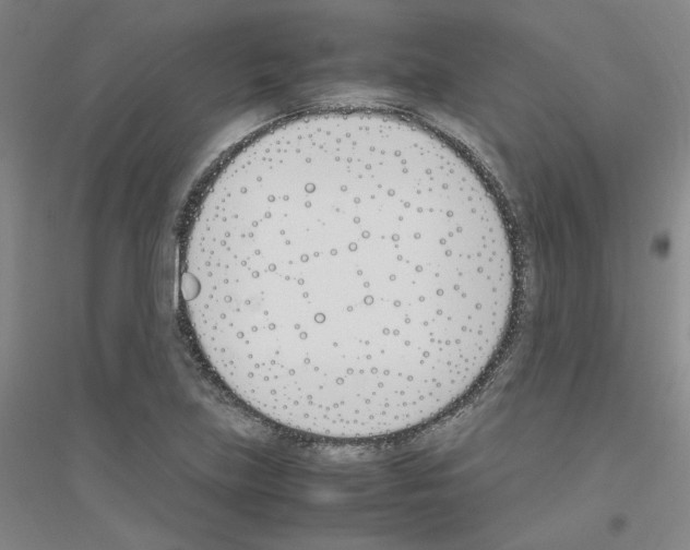 X0000116821219201001291615