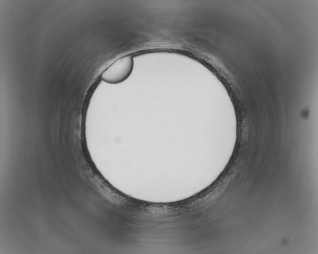 X0000116821220201001291615