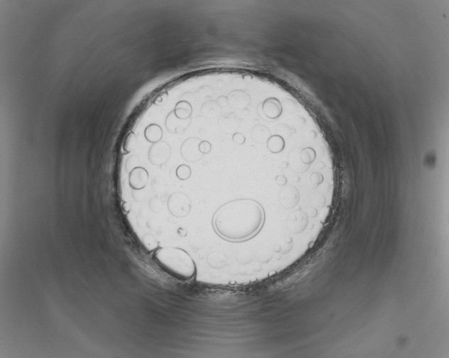 X0000116821222201001291615