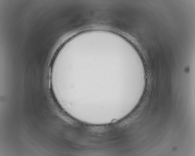 X0000116821223201001291615