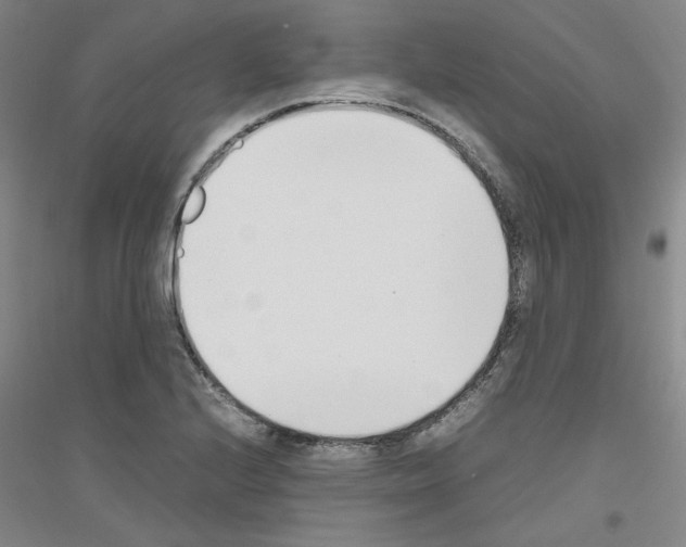 X0000116821224201001291615