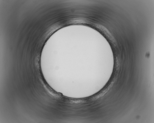 X0000116821225201001291615