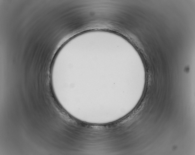 X0000116821226201001291615