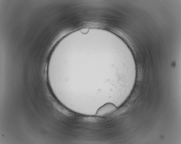 X0000116821227201001291615