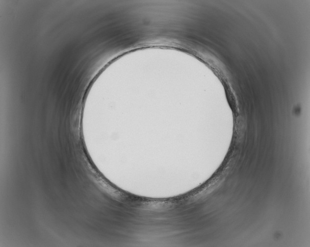 X0000116821228201001291615