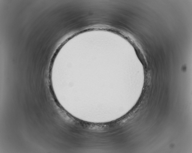 X0000116821229201001291615