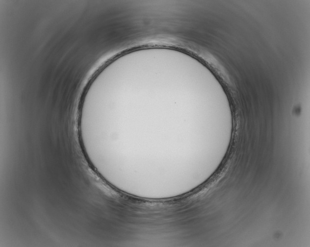 X0000116821232201001291615