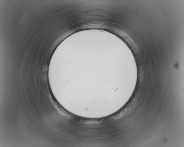 X0000116821233201001291615