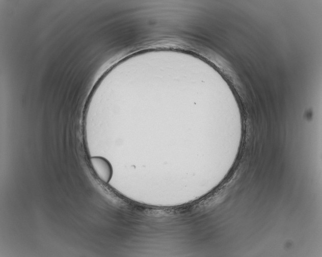 X0000116821234201001291615