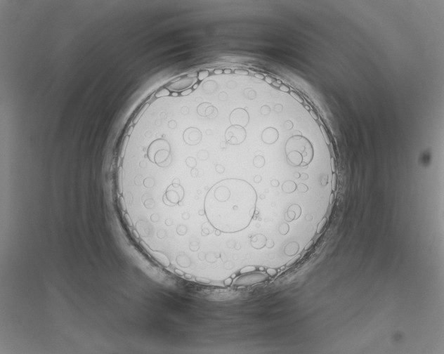 X0000116821235201001291615