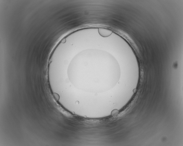 X0000116821236201001291615