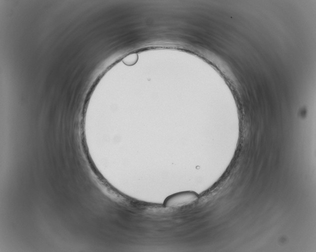 X0000116821237201001291615