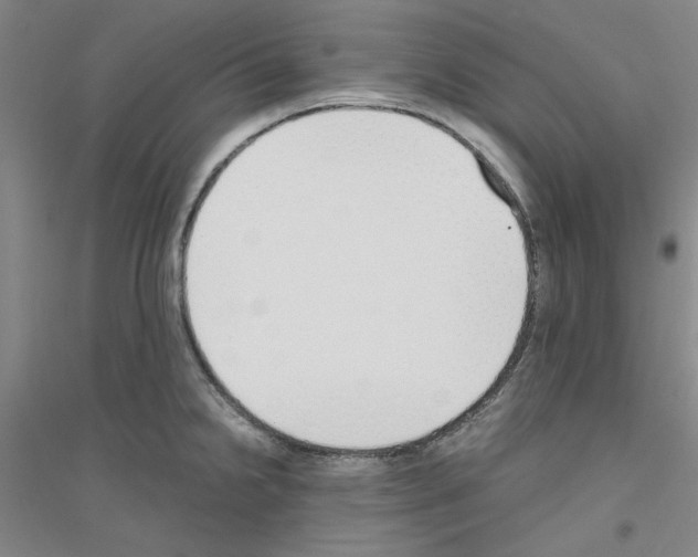 X0000116821238201001291615