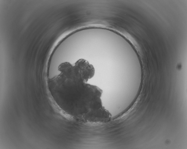 X0000116821240201001291615