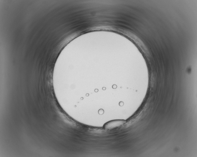 X0000116821241201001291615