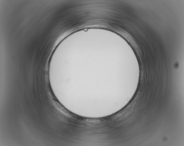 X0000116821242201001291615